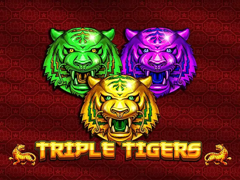 Triple Tigers